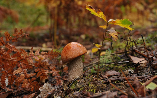 �1759630 �������(a): ����������:2048x1280